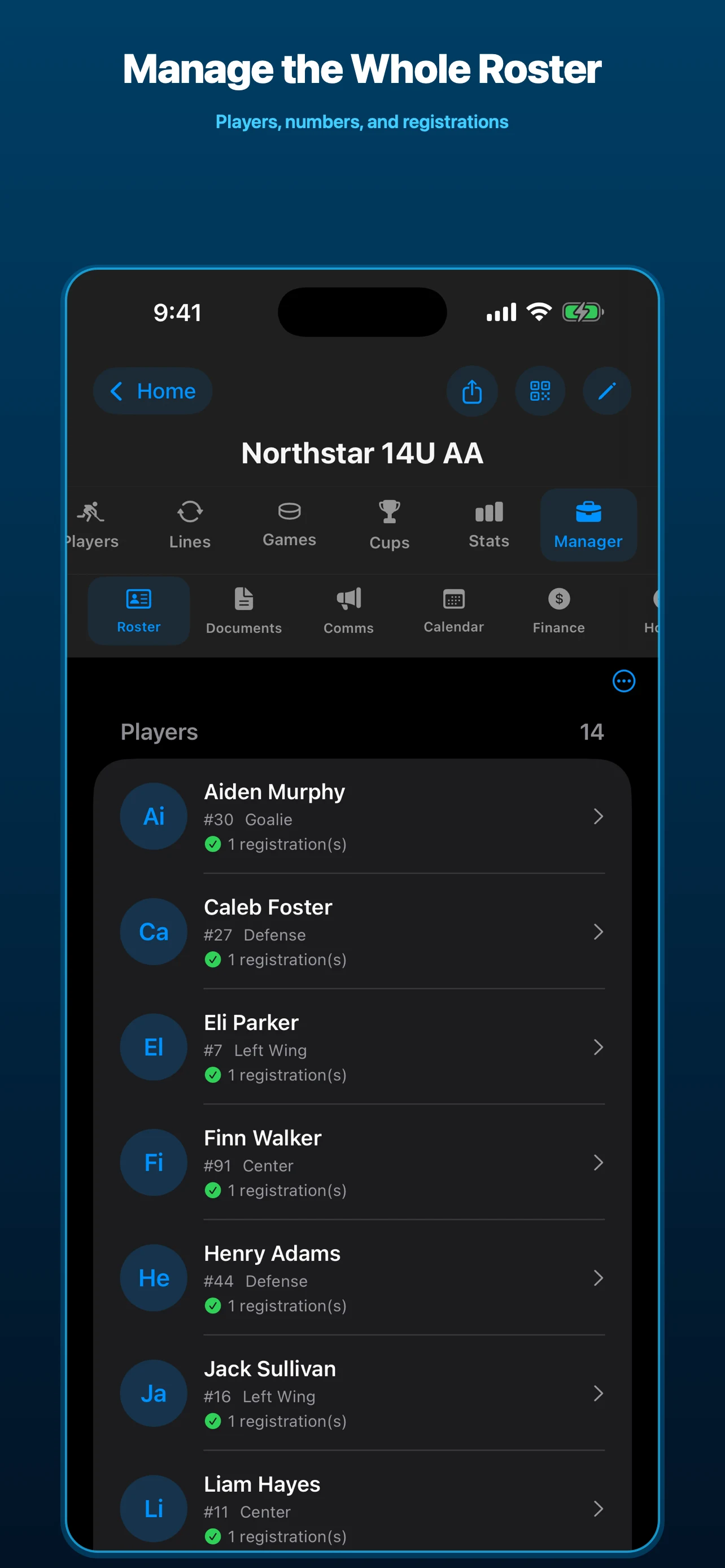 IceMetrics team roster manager with player positions and registrations